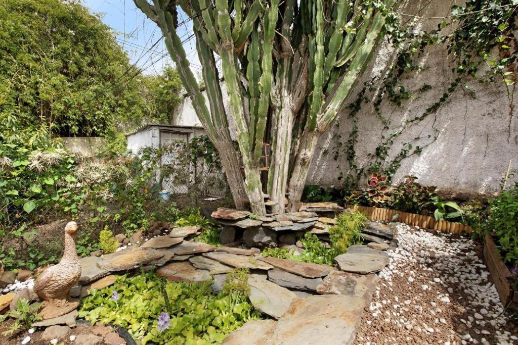 Casa Con Jardin Villa Tacoronte Dış mekan fotoğraf